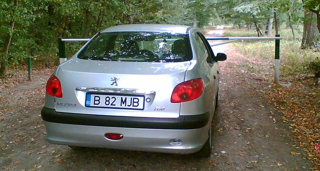 پژو 206 SD V20 1393